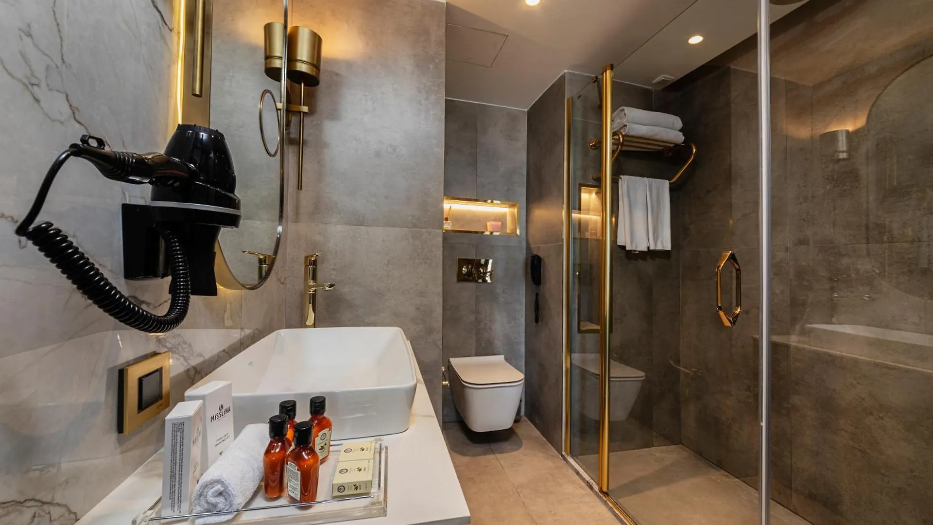 Levni Premium Hotel Istanbul Old City